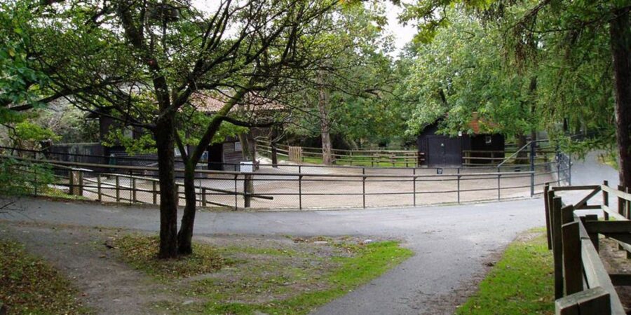Hage slottskogens djurpark